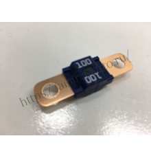 Предохранитель силовой 100A