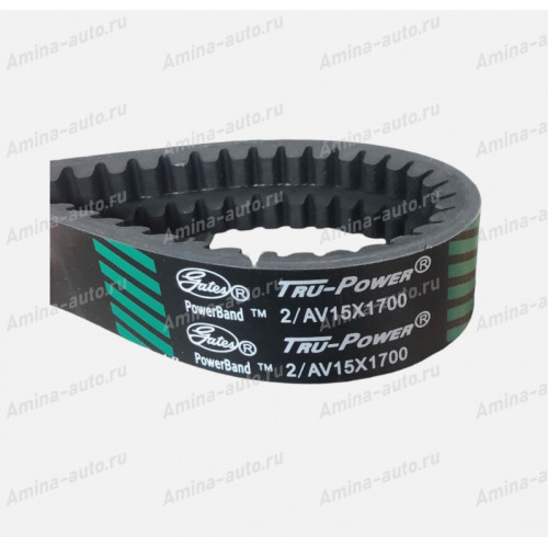 Ремень 2/av15*1700 